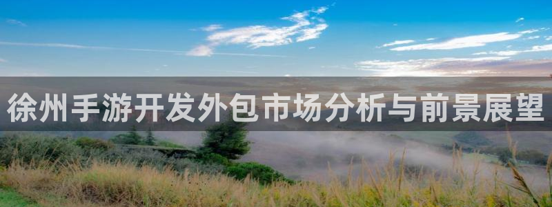 V8娱乐登录：徐州手游开发外包市场分析与前景展望
