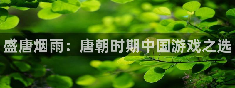 V8娱乐：盛唐烟雨：唐朝时期中国游戏之选
