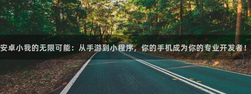 V8娱乐登录：安卓小我的无限可能：从手游到小程序，你的手机成