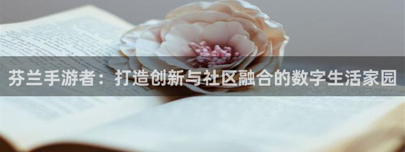 V8娱乐注册：芬兰手游者：打造创新与社区融合的数字生活家园