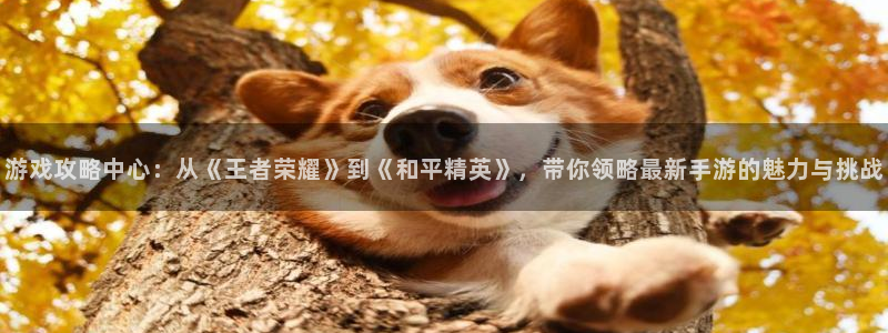 V8娱乐网：游戏攻略中心：从《王者荣耀》到《和平精英》，带你