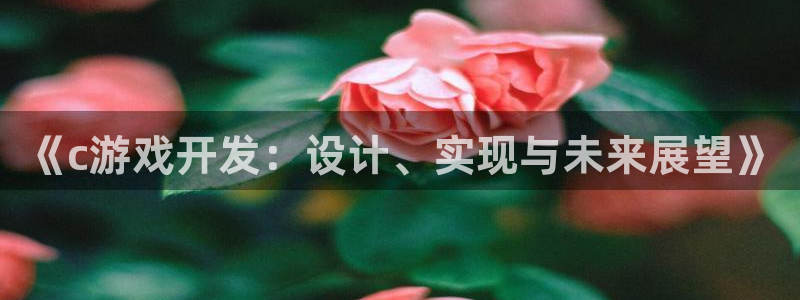 V8娱乐登录：《c游戏开发：设计、实现与未来展望》