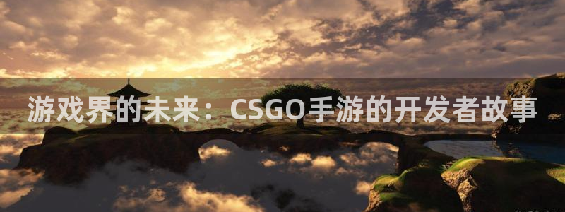 V8娱乐登录：游戏界的未来：CSGO手游的开发者故事