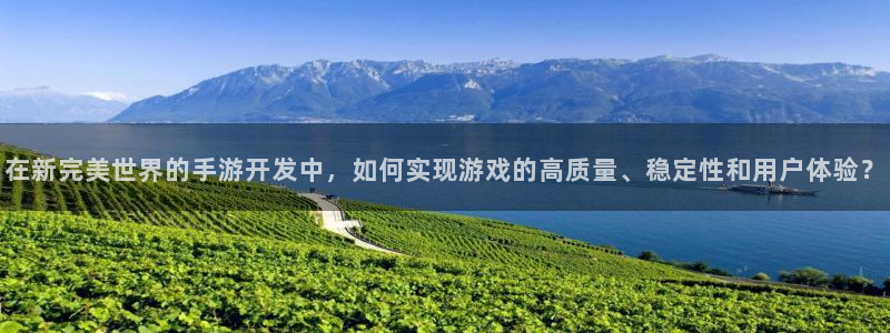 V8娱乐官网：在新完美世界的手游开发中，如何实现游戏的高质量