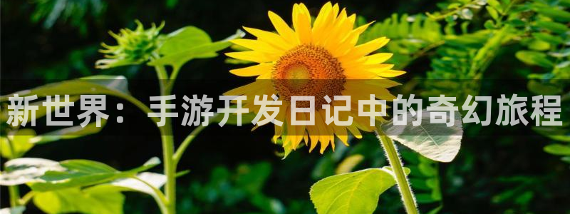 V8娱乐网：新世界：手游开发日记中的奇幻旅程