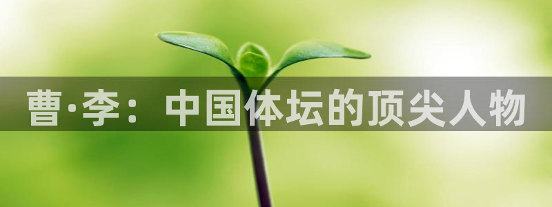 谈球吧体育