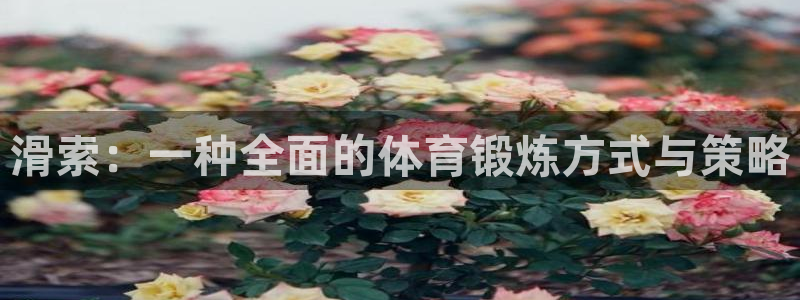 谈球吧