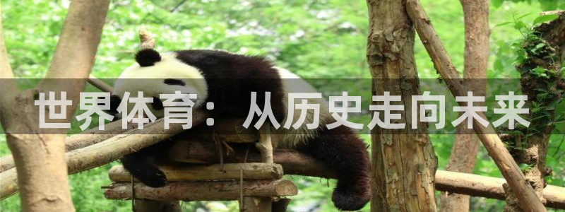 谈球吧体育官网：世界体育：从历史走向未来